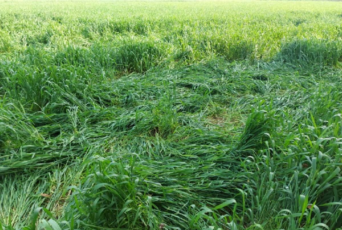 shahjahanpur case victim student gave statements to the magistrate student says was burnt for preventing rape