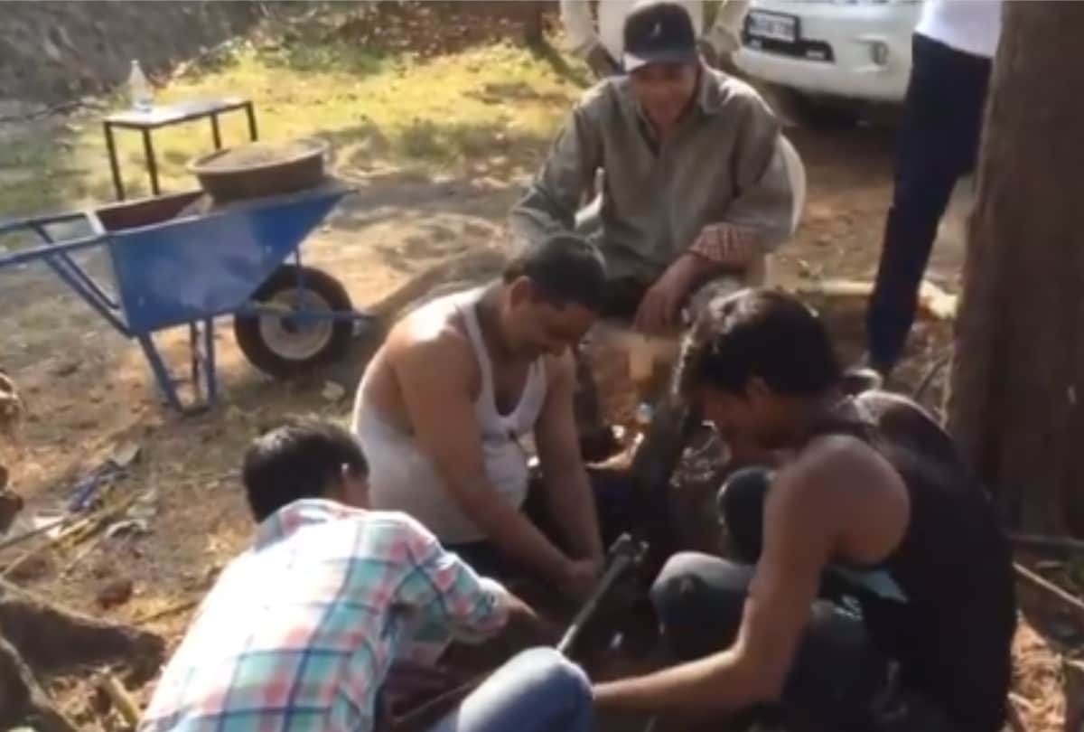 Dharmendra has shared a video of himself with a few workers from his farmhouse