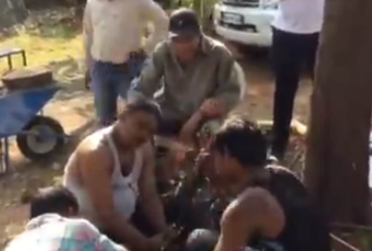 Dharmendra has shared a video of himself with a few workers from his farmhouse