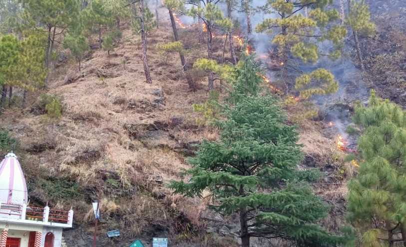 Jungles of Kausani and Petshal caught fire