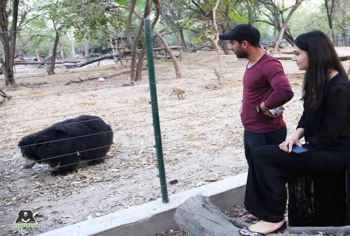 Indian Cricketer Deepak Chahar Visits Bear Rescue Centre Agra