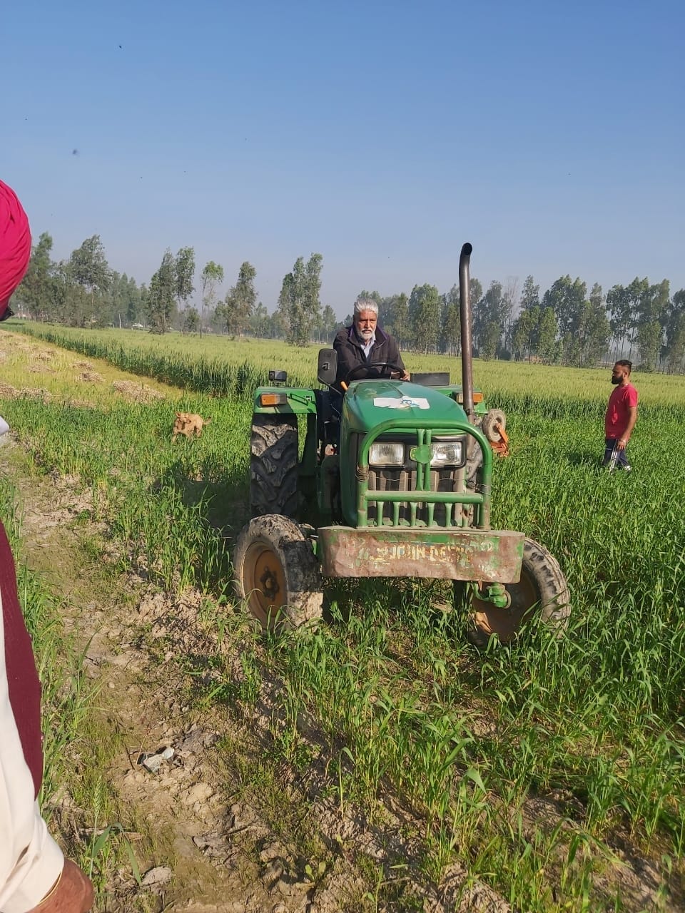 uttarakhand news : farmer destroying crops in support of farmers who sit on protest in delhi photos