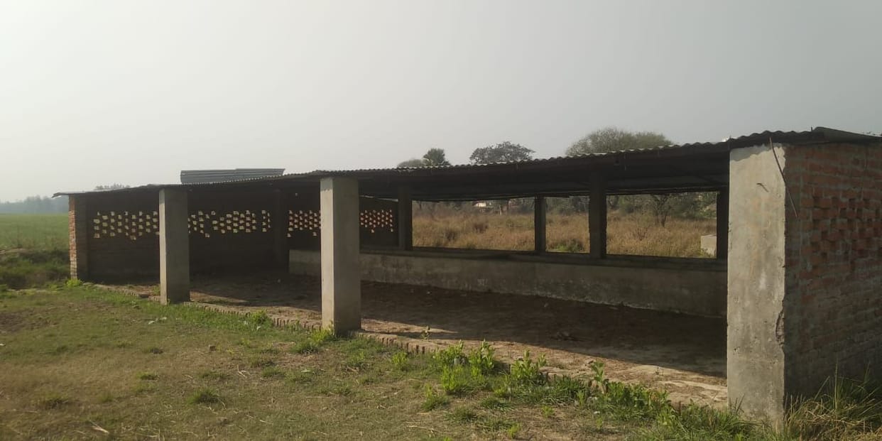 3 cow shelters close