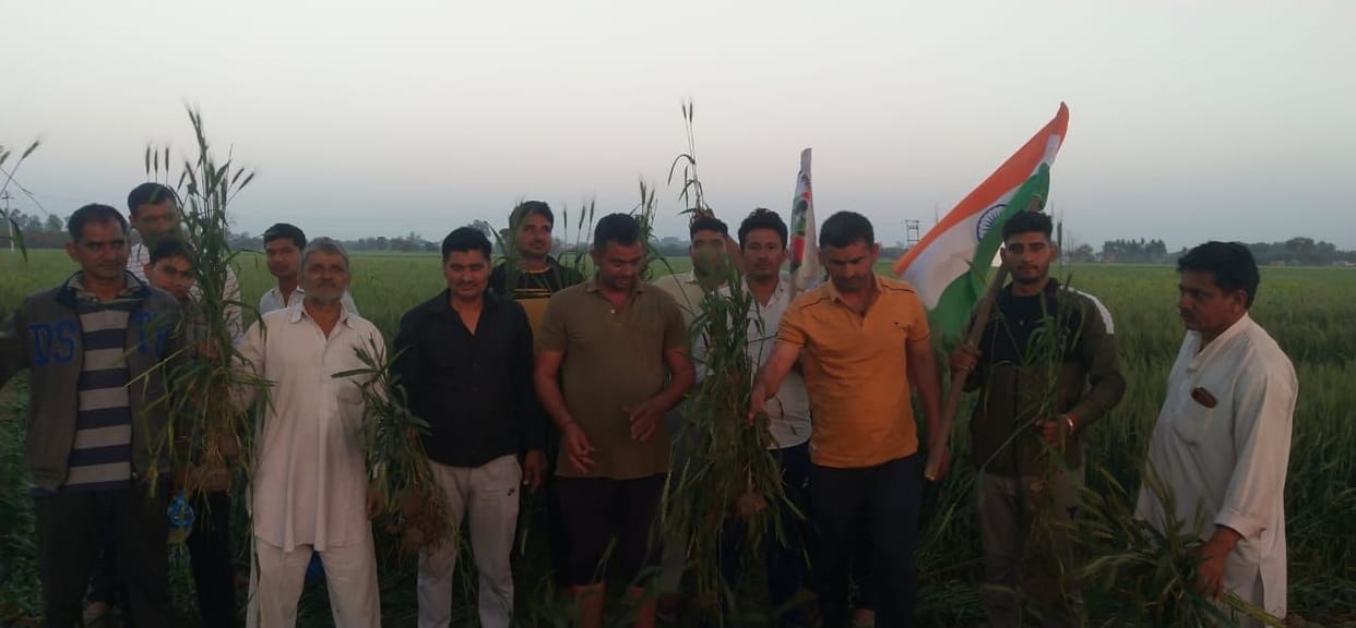 farmers protest, crop damage