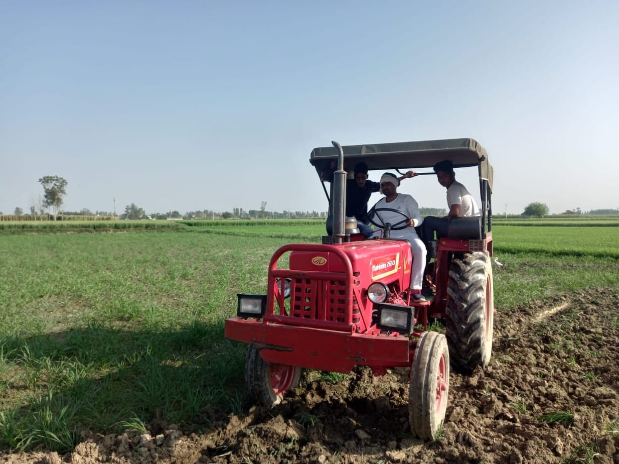 30 bigha wheat crop cultivated in support of farmer movement