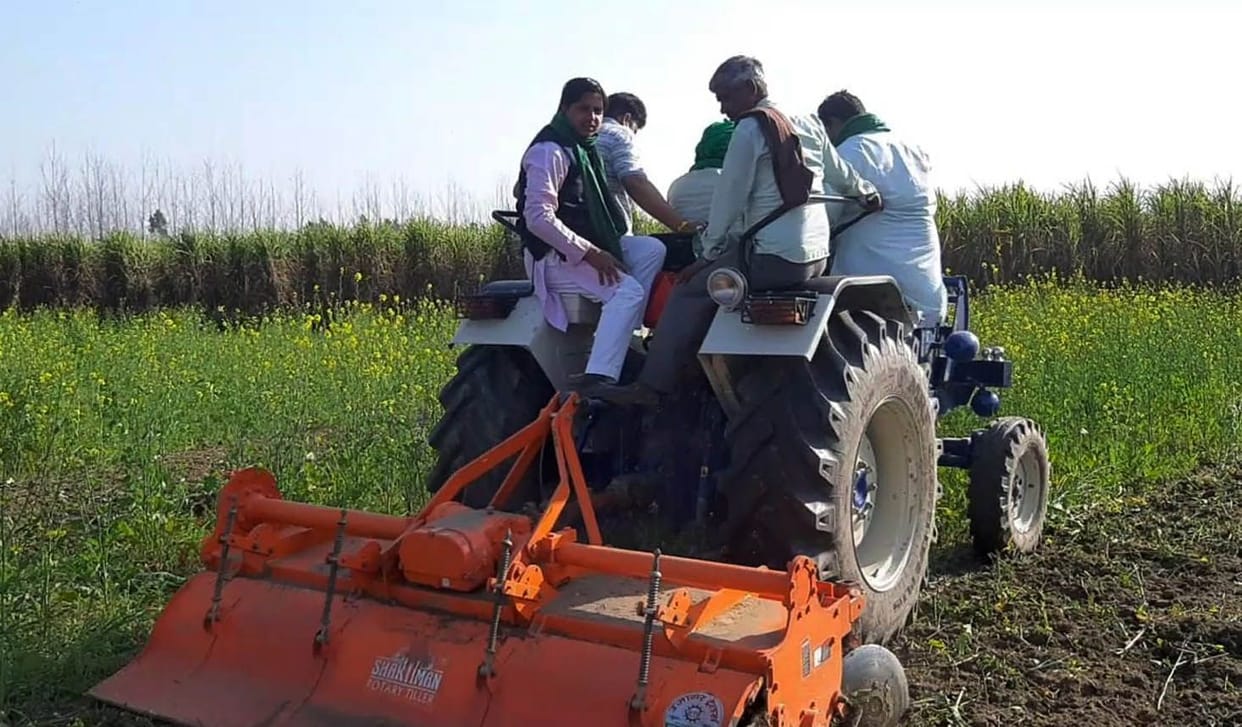Mustard crop plowed against agricultural laws
