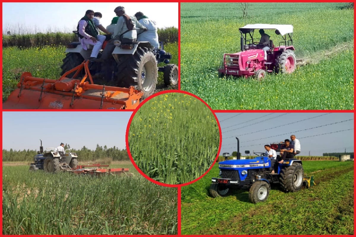 Meerut News: farmers are destroying green crops against agricultural laws in West Uttar Pradesh