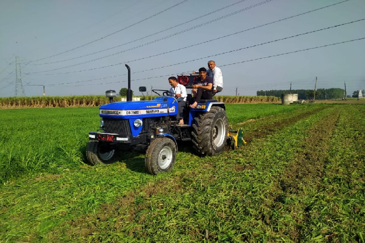 Meerut News: farmers are destroying green crops against agricultural laws in West Uttar Pradesh