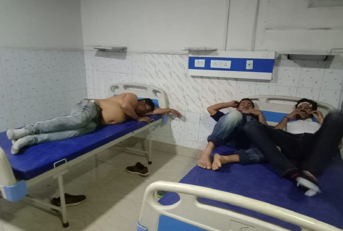 Bees attacked during shooting of TV serial Pratigya-2, 18 injured