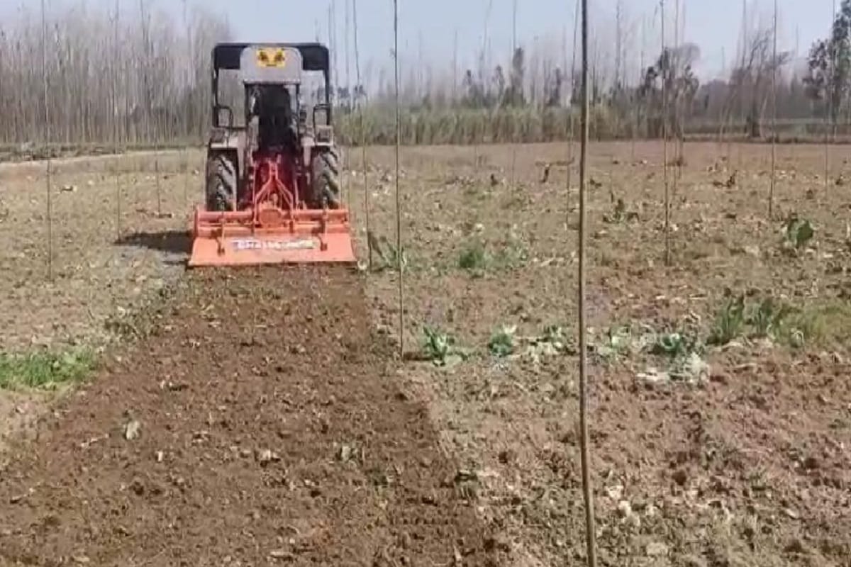 Meerut News: farmers are destroying green crops against agricultural laws in West Uttar Pradesh