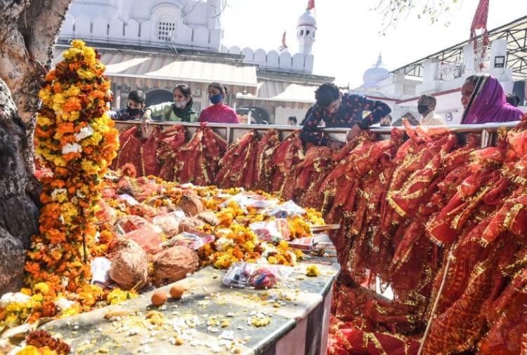 Know About Historical Sacred fig Tree of Shri Mata Mansa Devi Mandir Of Panchkula