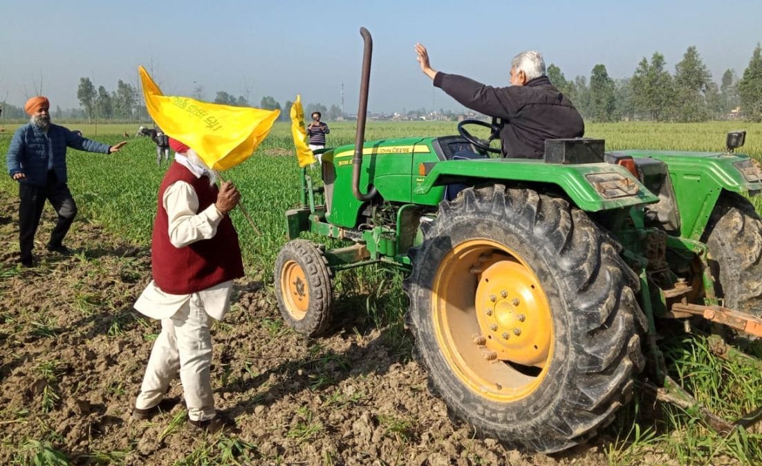 Farmer destroyes his crop