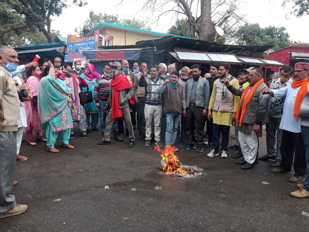 bjp worker burent affigy of congress party