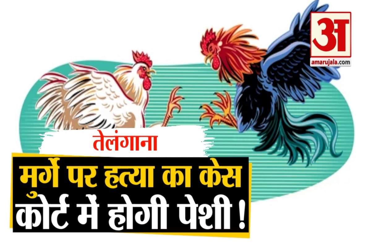 मुर्गा गिरफ्तार