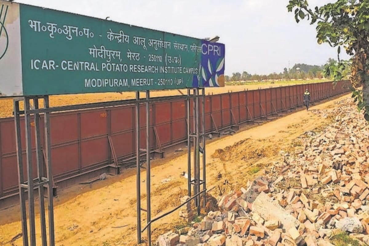 Exclusive: cold storage of ten thousand quintal to be made in CPRI of Meerut with agreement with Rapid