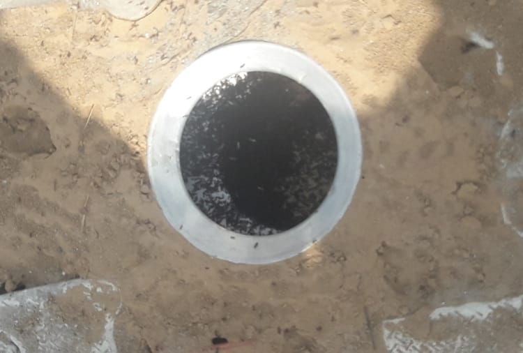 Haryana : People of Lilas Village does not kill Ants 
