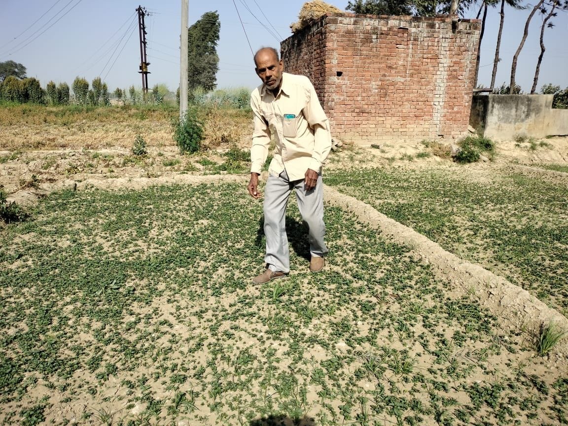 kisaanon ka mentha kee or jhukaav, doguna hua rakaba