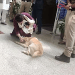 जॉनी के साथ प्रियंका गांधी।