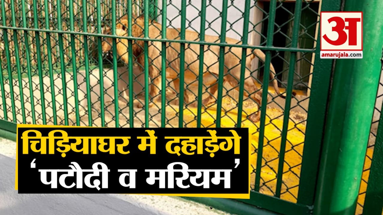 Gorakhpur news