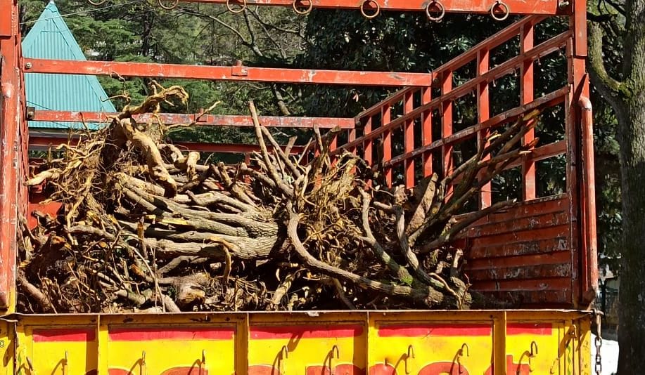 Action under Forest Act, suspected of smuggling