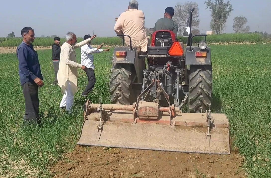 Wheat crop plowed against agricultural laws