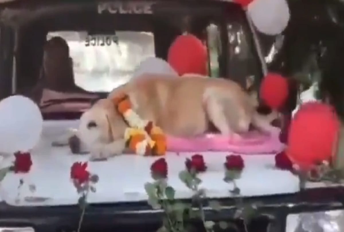 special farewell for Sniffer dog by Nashik police maharashtra