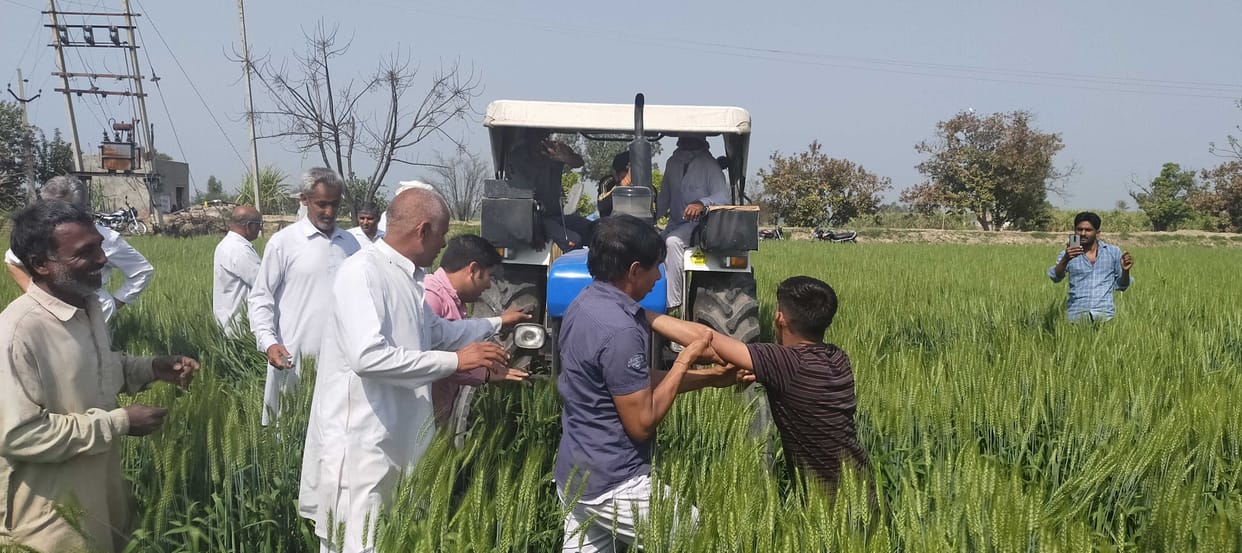 Bhatol jataan and narnaud Farmers run tractor on standing crop