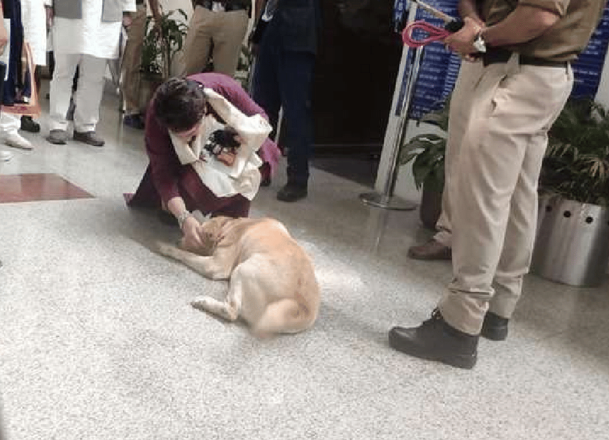 Priyanka gandhi lovely photo with johnny doggy of Dog squad viral at varanasi airport
