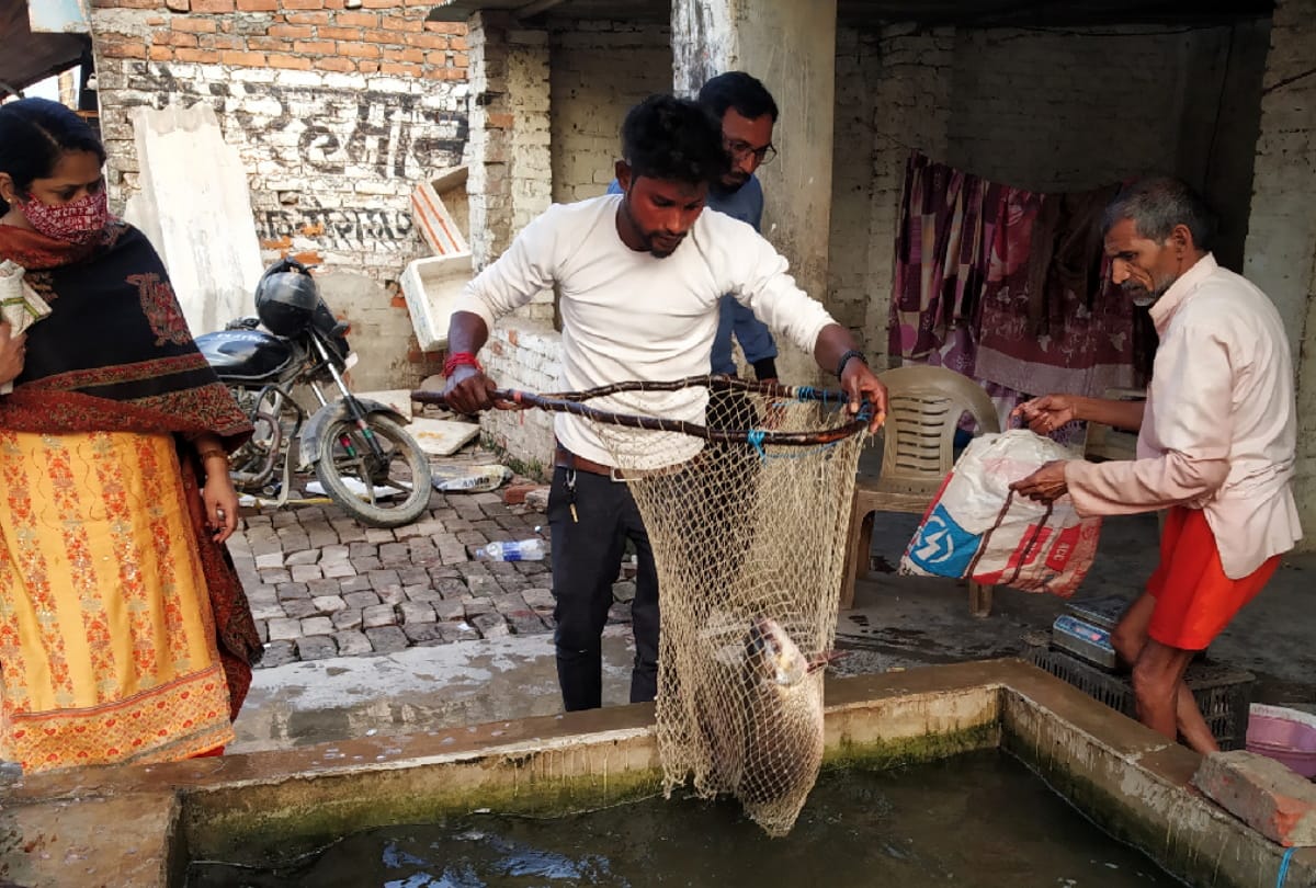 special fish selling by kept in cement tub at Gorakhpur