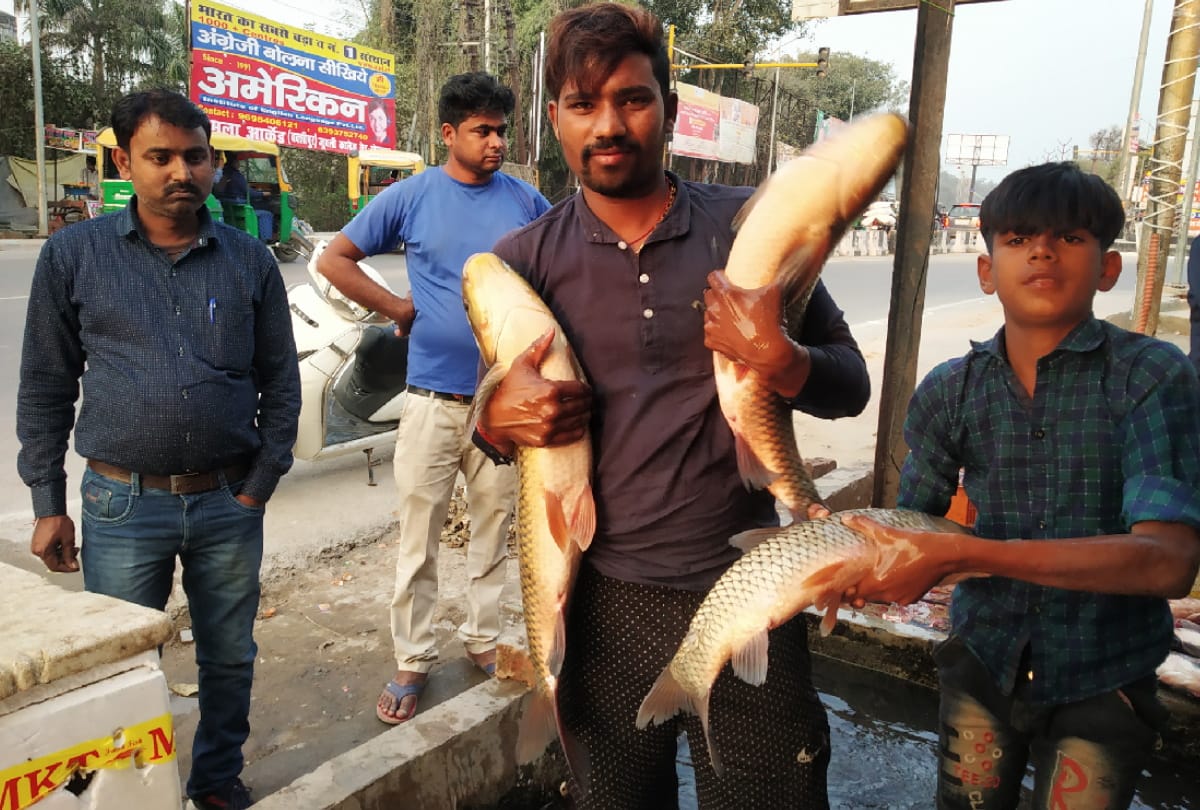 special fish selling by kept in cement tub at Gorakhpur
