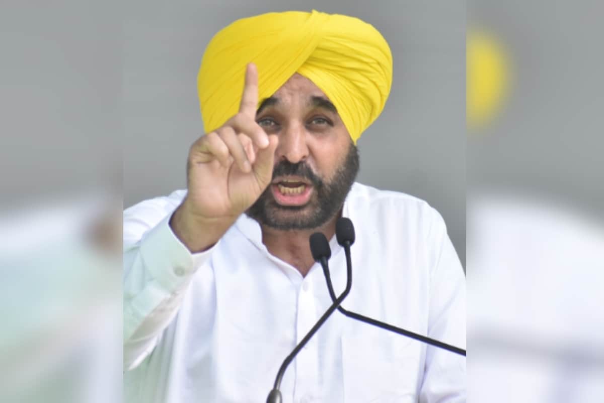 Punjab cm News: Bhagwant Mann biography qualification and his career before joining politics