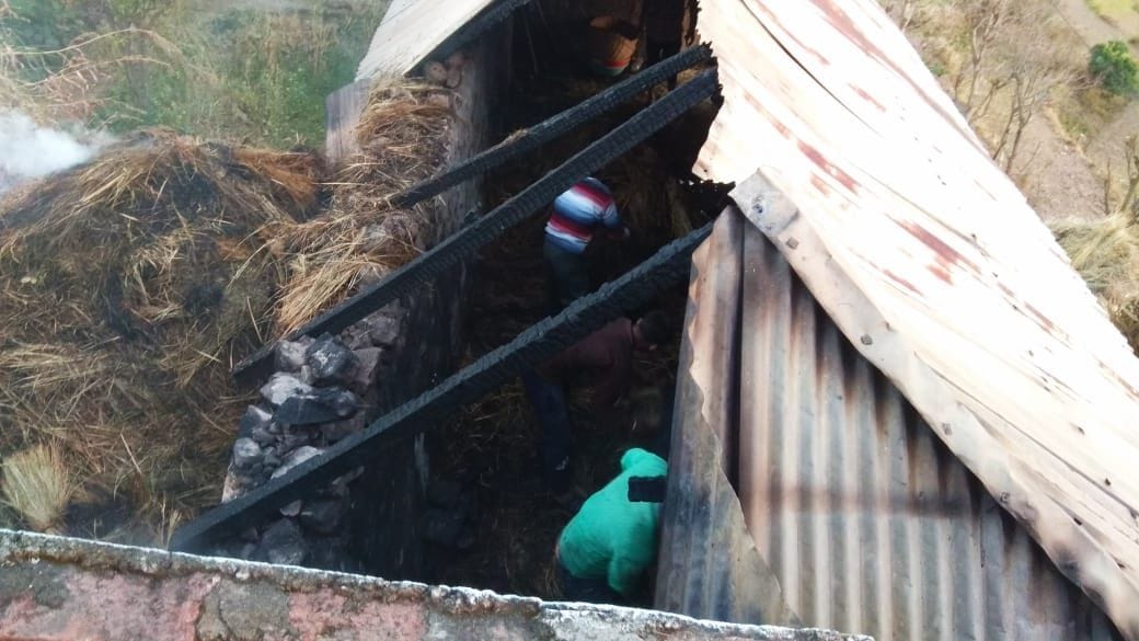 anilmal shed on fire in bilaspur