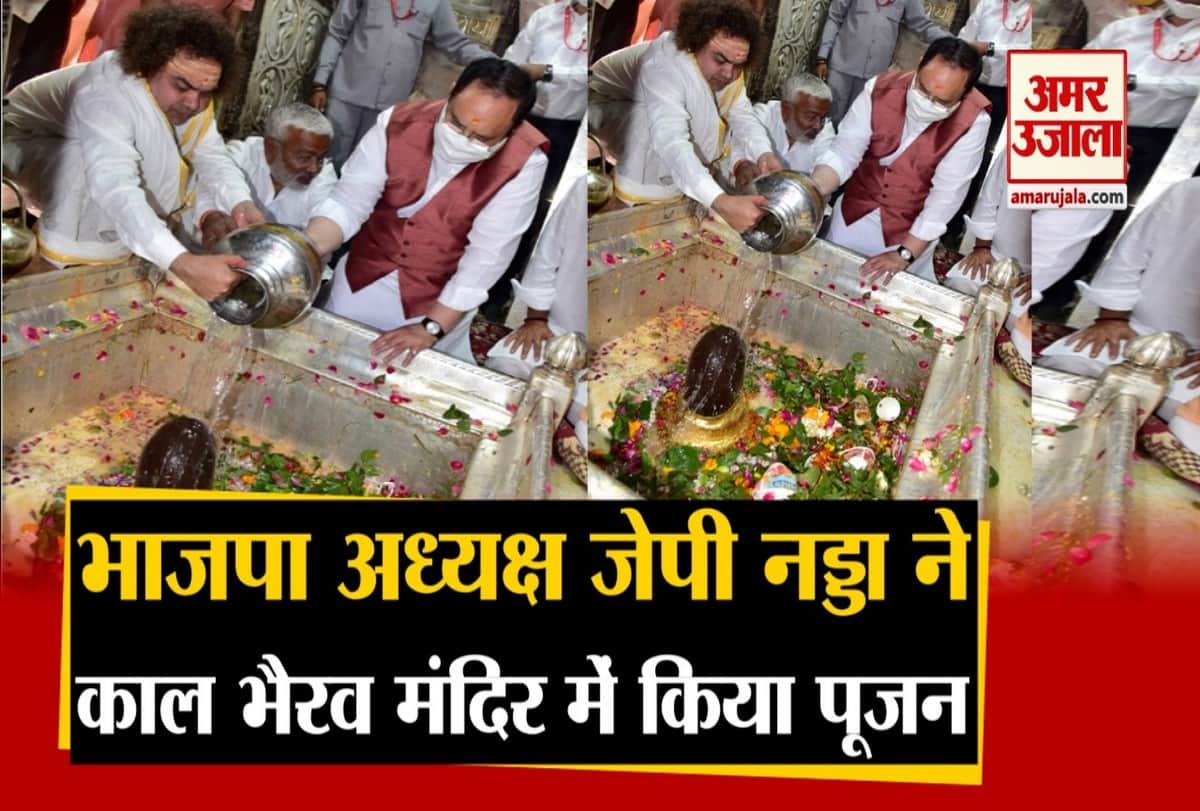 भाजपा के राष्ट्रीय अध्यक्ष जेपी नड्डा ने बाबा दरबार में लगाई हाजिरी।
