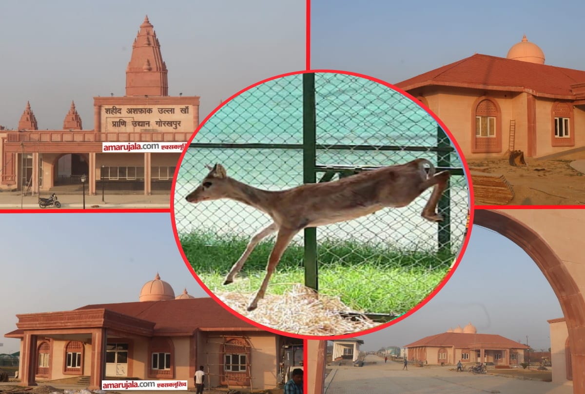 CM Yogi will inaugurate Gorakhpur Zoo on 26 March 2021