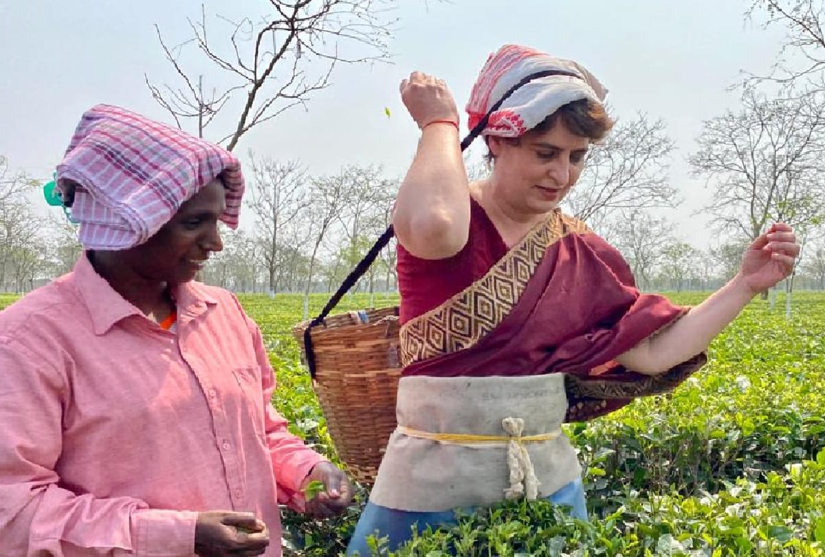 assam assembly election priyanka gandhi vadra visit tea garden and met with workers