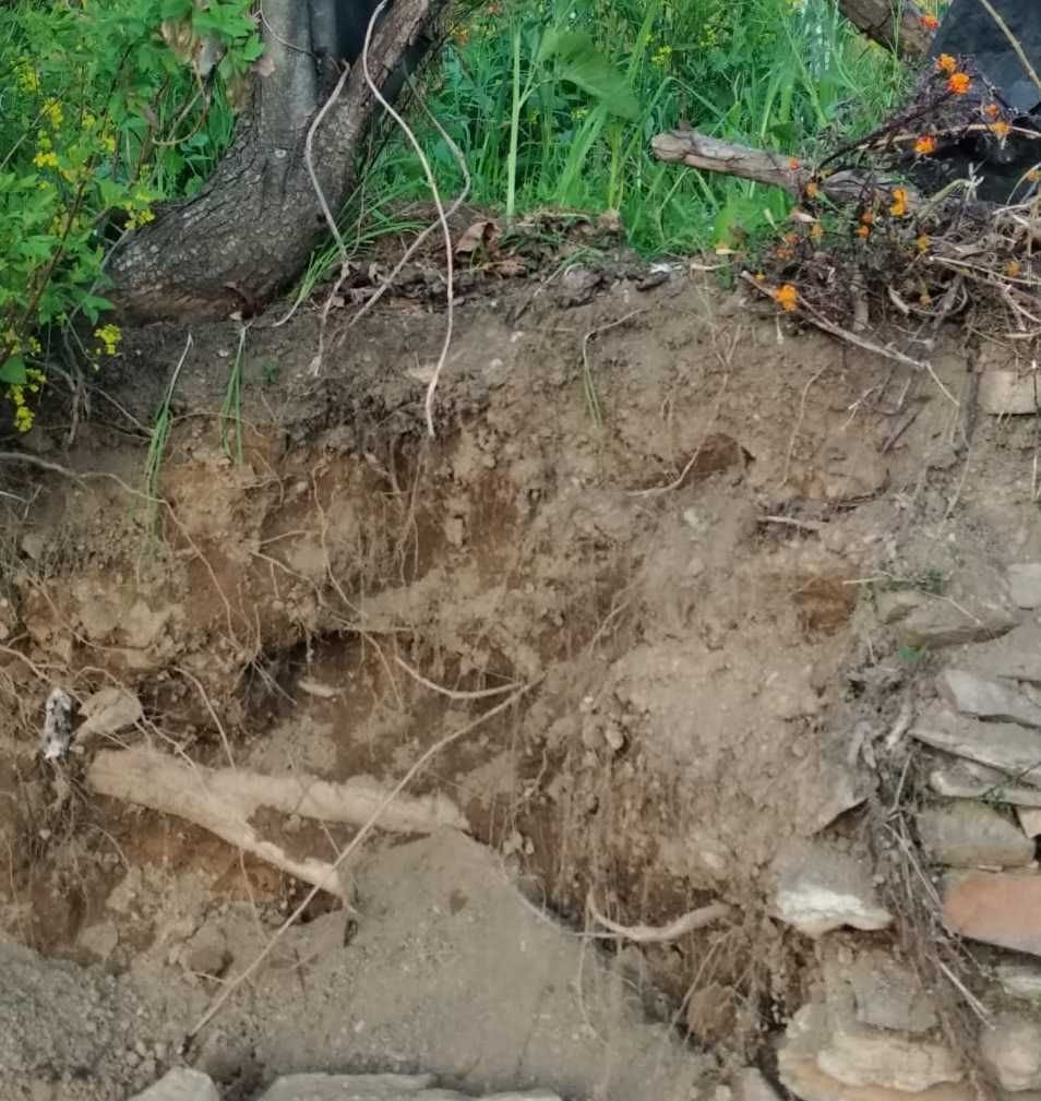 People forced to leave farming because of pig in Kanda