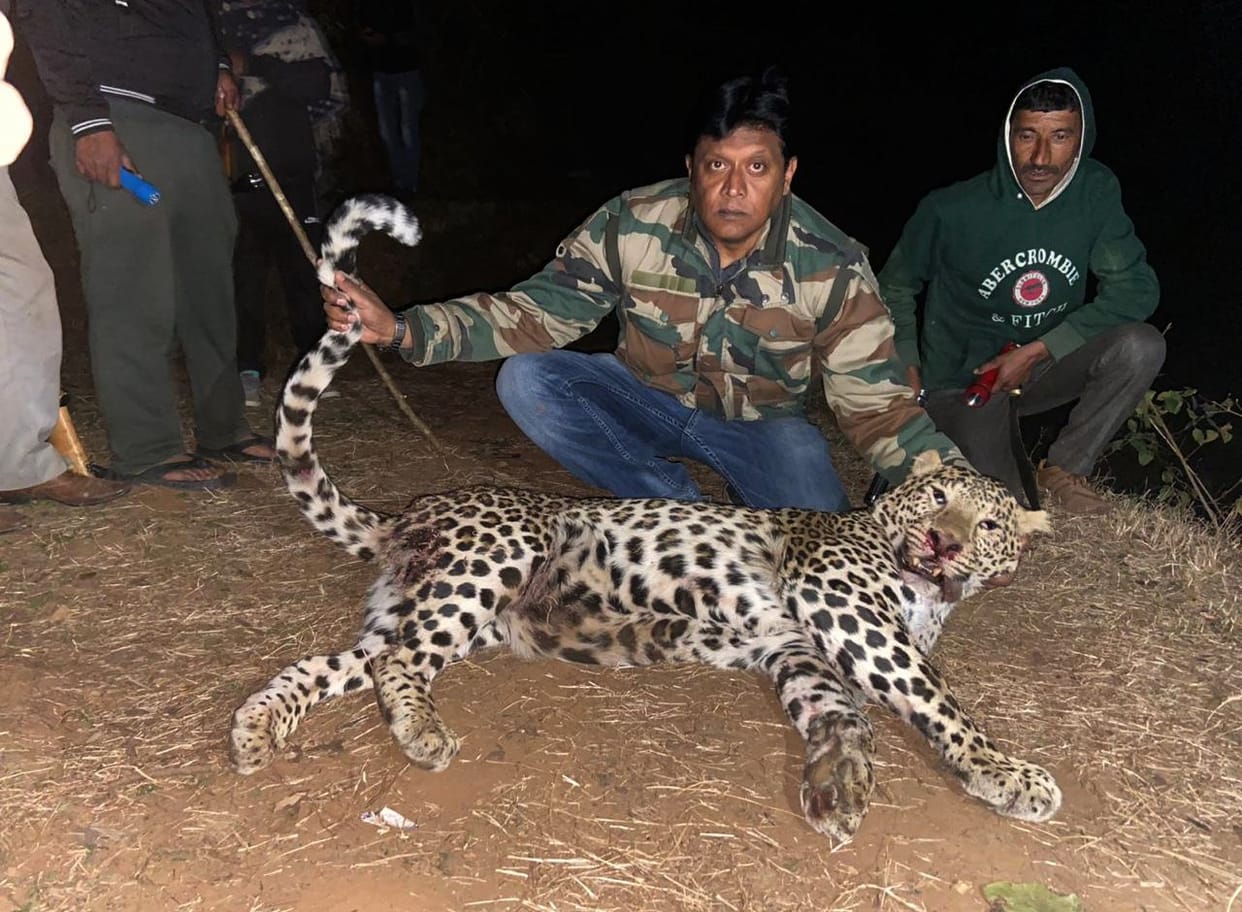 moradabad resident hunter rajeev soloman killed  man eaters guldaar