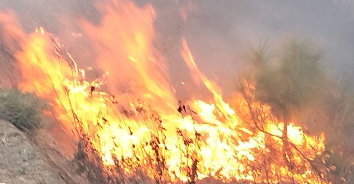 Forest Fire in Barakot