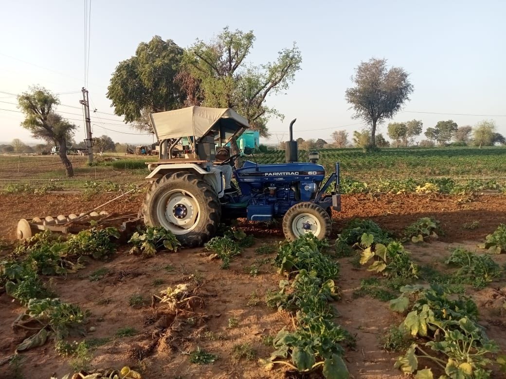 Farmer runs tractor on sowing vegetables in eight acres