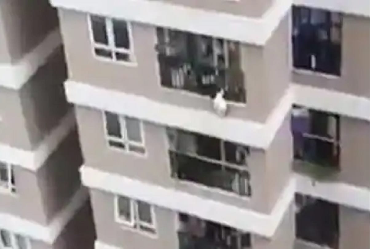 A delivery driver in Hanoi saved a two year old girl who fell from a 12th floor balcony