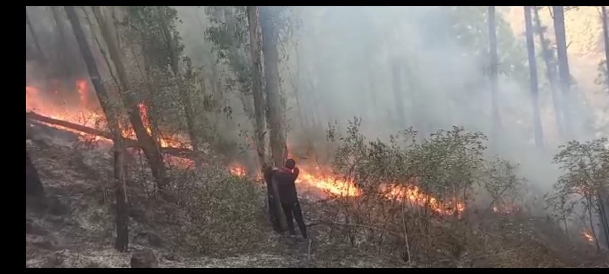 Fire in the forest of Khurpatal