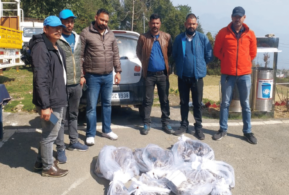 Pithoragarh News: One Youth arrested with six leopard skins and limbs in Seraghat