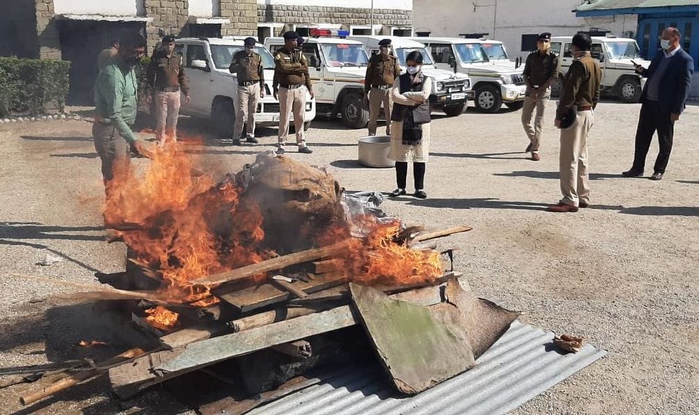 drug burnt in mandi by police