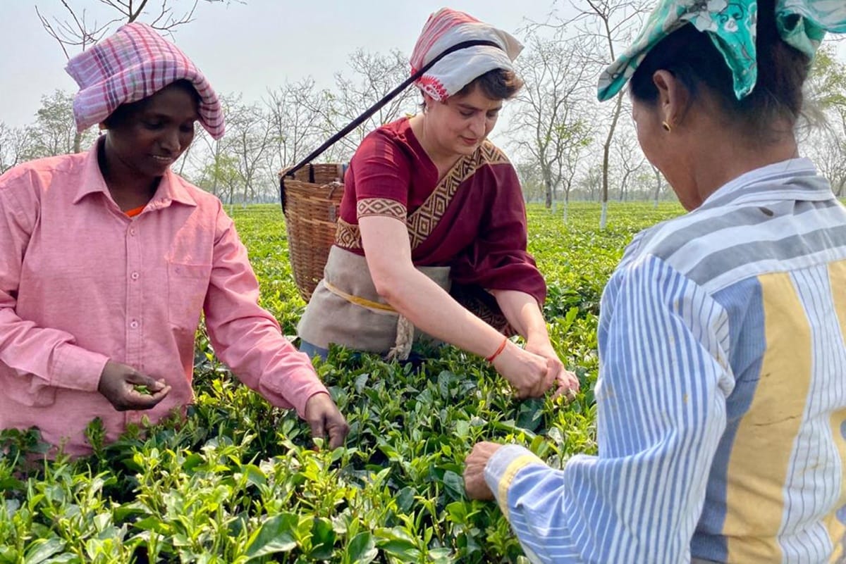 assam assembly election priyanka gandhi during her visit met with tea garden workers temple camopaign rally congress bjp