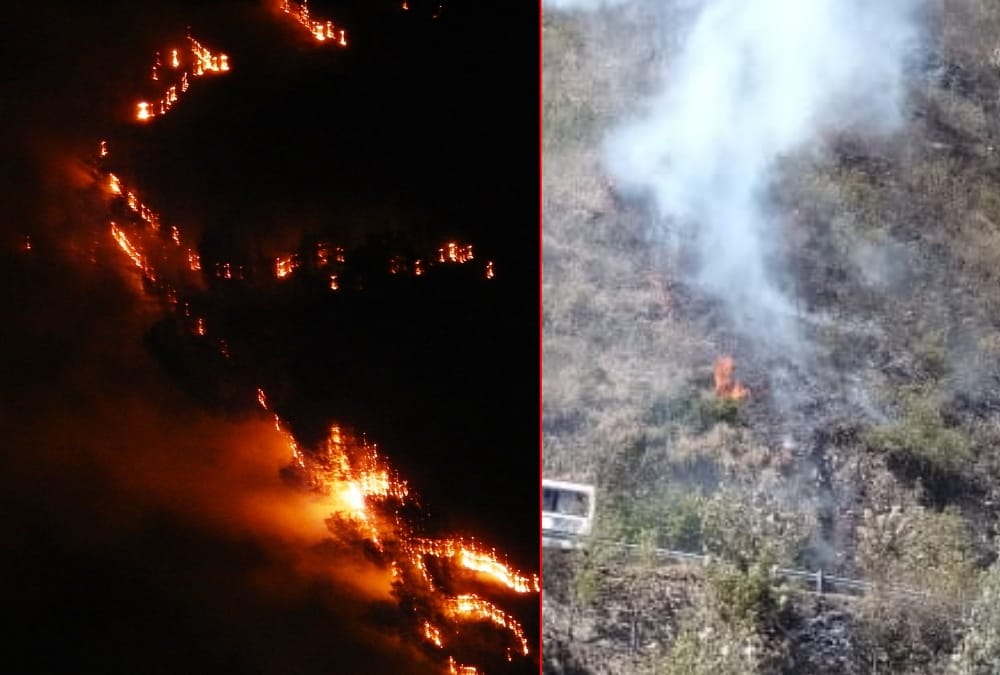 Uttarakhand News: Wildfire increased due to Hot Weather in Garhwal And Kumon Photos
