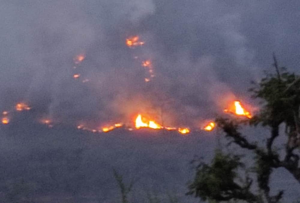 Uttarakhand News: Wildfire increased due to Hot Weather in Garhwal And Kumon Photos