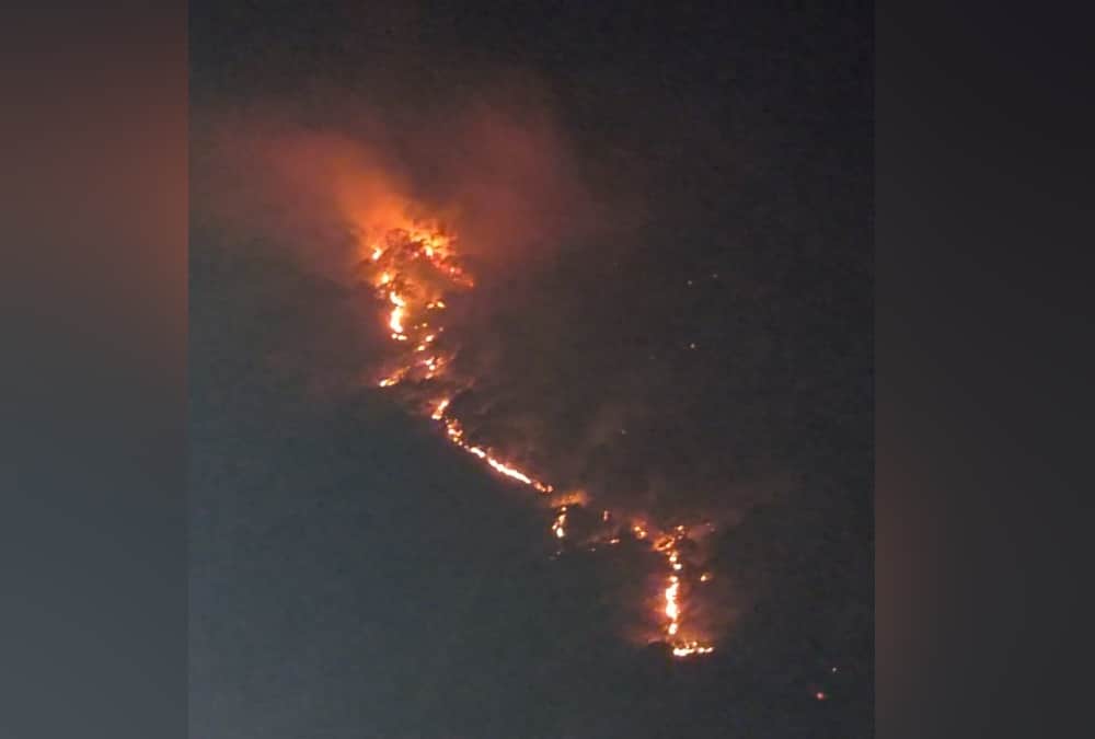 Uttarakhand News: Wildfire increased due to Hot Weather in Garhwal And Kumon Photos