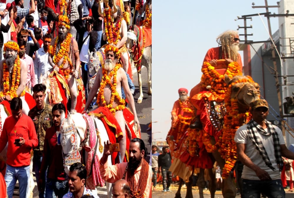 Haridwar Kumbh Mela 2021: Huge Crow for See Niranjani Akhara Royal Peshwai photos