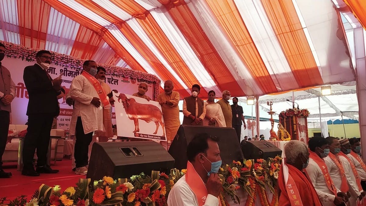 Governor anandi ben patel visit Varanasi: did Gir cow worship and distributed cows to farmers