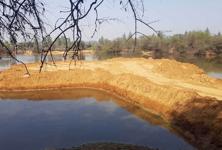 Haryana : An island is being built in the lake of Village Kajalheri in which Softshell turtle reside  